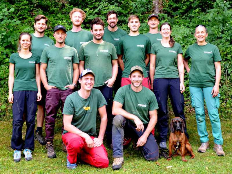 Baumschnitt Wien - Das erfahrene Team von TreeBee